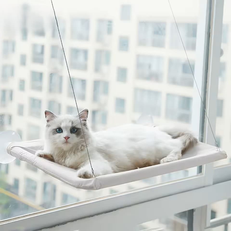 Wygodny hamak dla kota 20KG, mocowany do okna 🐱