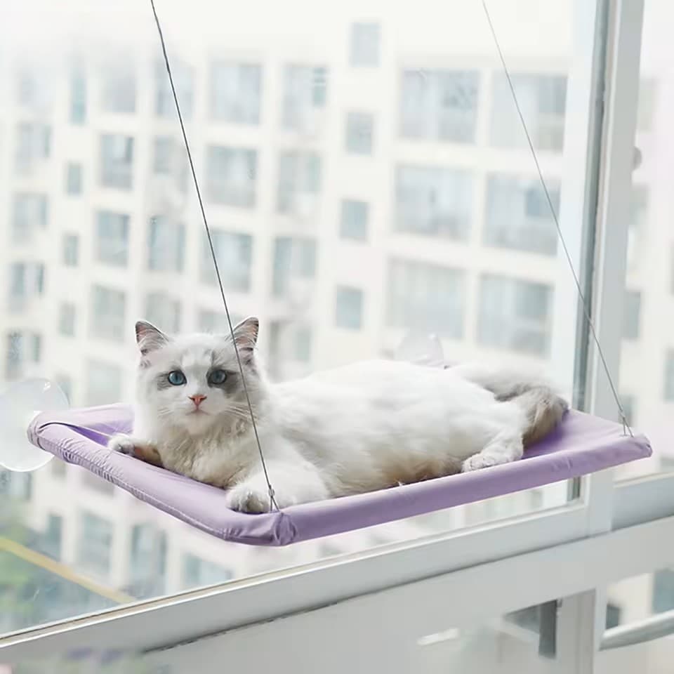 Wygodny hamak dla kota 20KG, mocowany do okna 🐱
